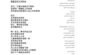 也门外教写诗祝福武汉：他会染病，但不会倒下